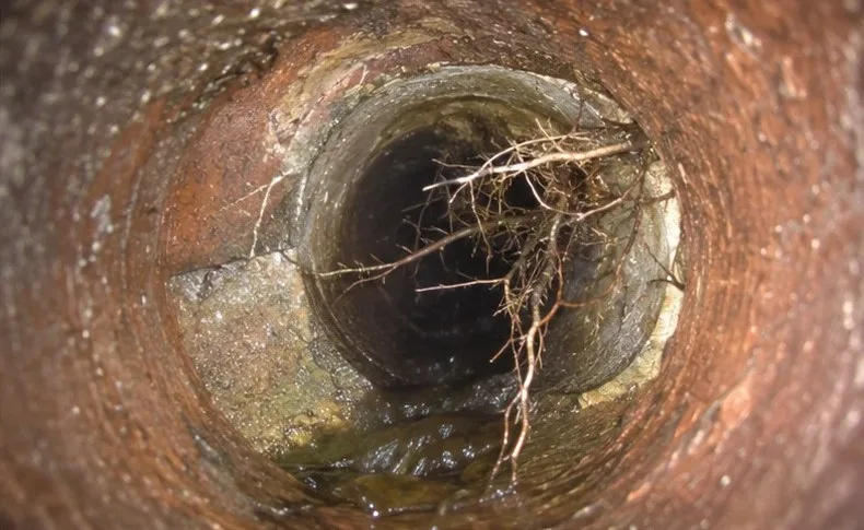 Sewer camera view inside a corroded pipe with tree roots growing through a joint